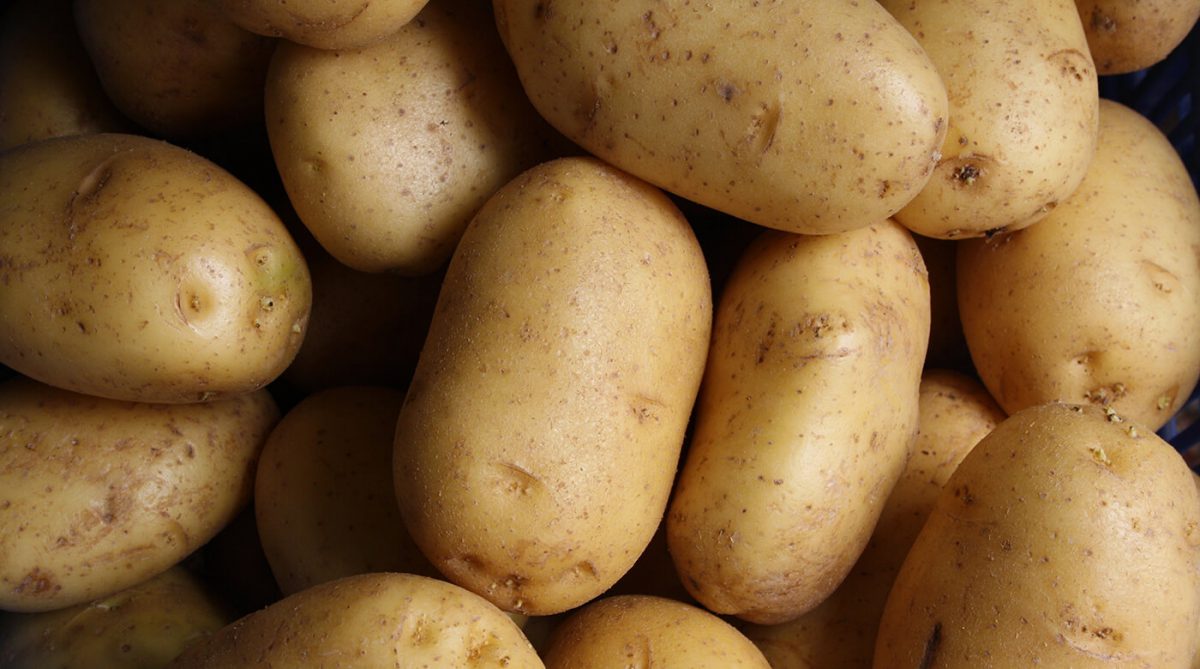 Close up of Bulk potatoes