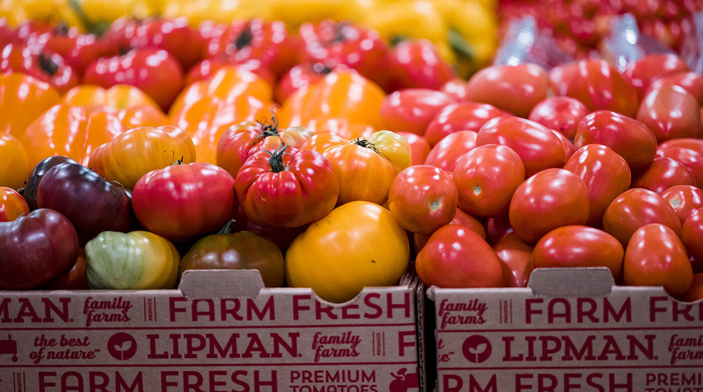 Tomato Expo Farm Fresh